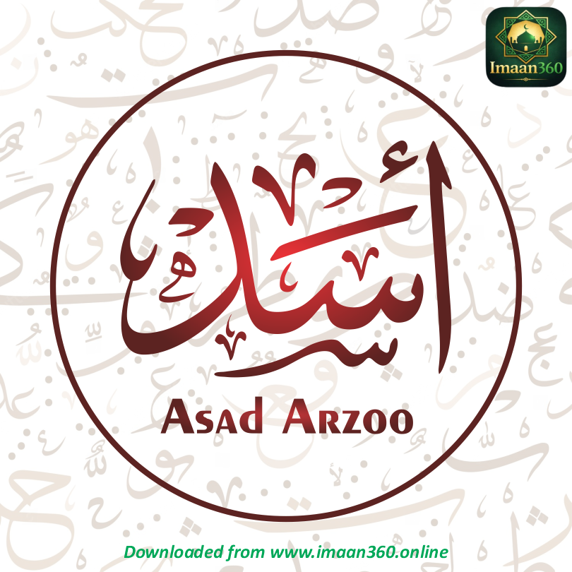 Asad Arzoo